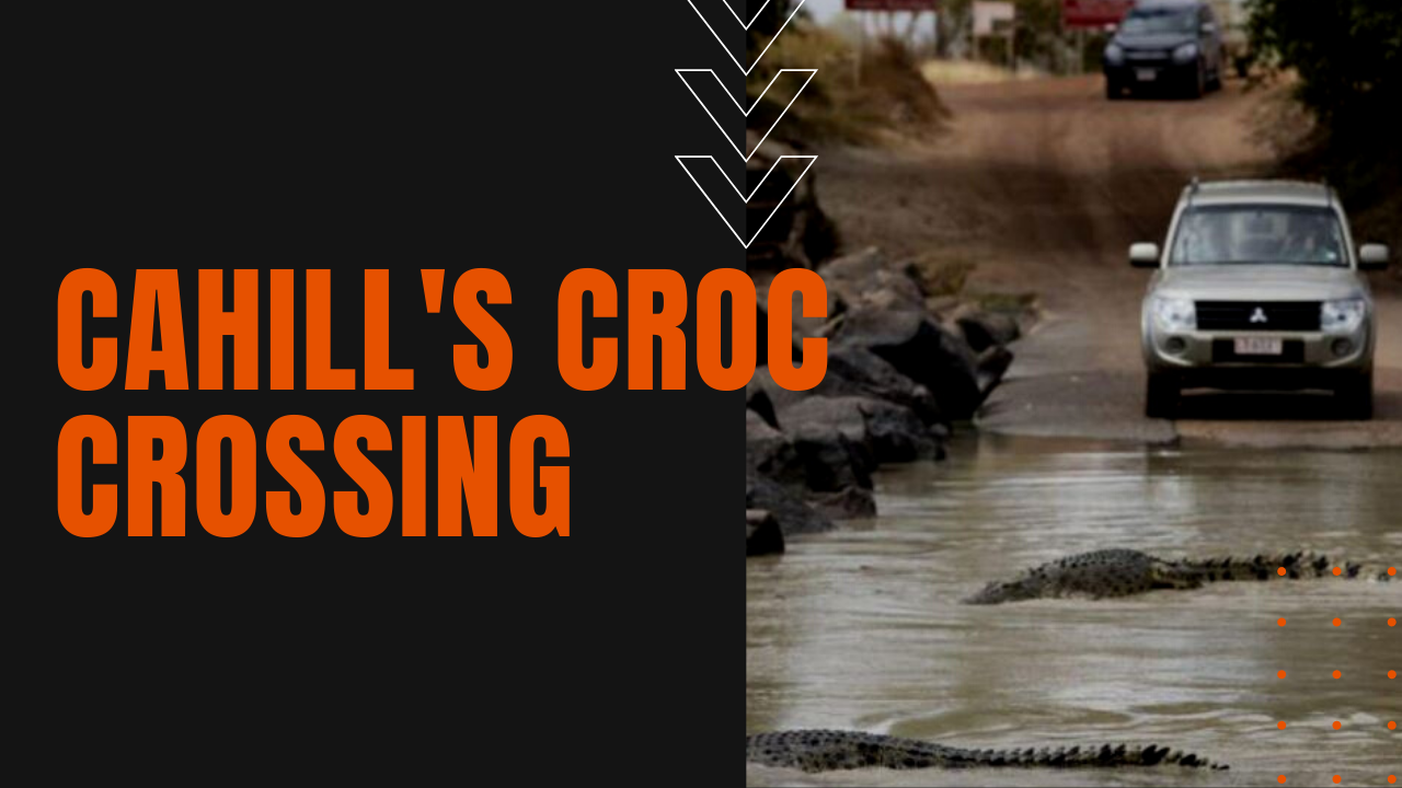 cahill's croc infested crossing