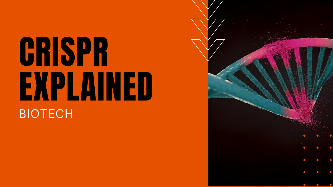 DNA rendering to visualize CRISPR gene editing capabilities