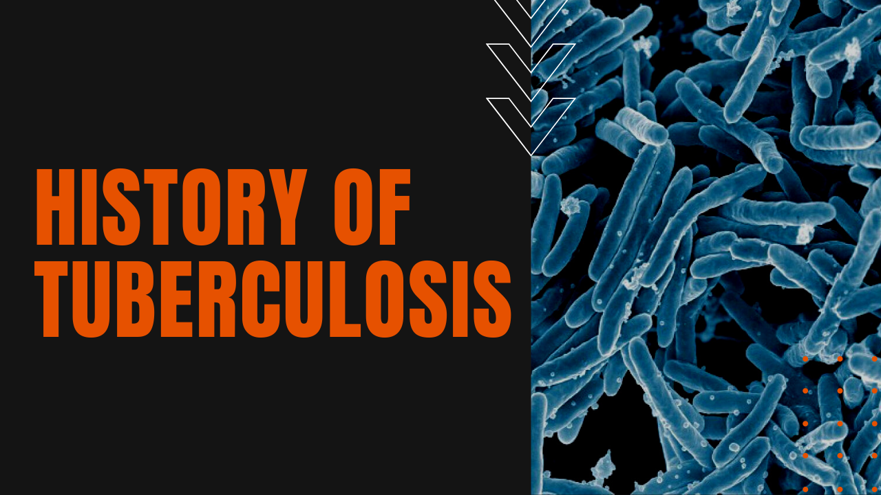 history of tuberculosis the great consumption