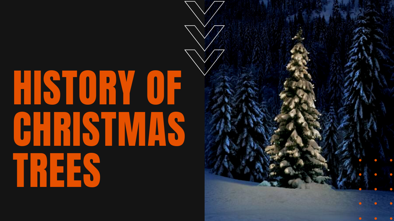 origins of evergreen worshippers known today as christmas trees