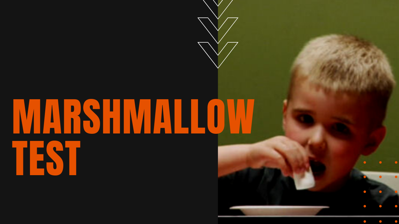 child being tested for self control and delayed satisfaction with marshmallow