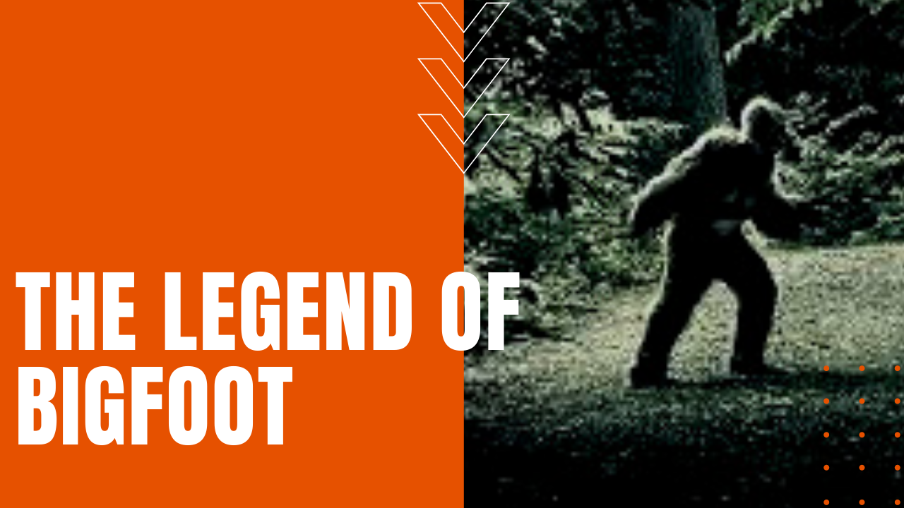 Sasquatch and the legend of bigfoot