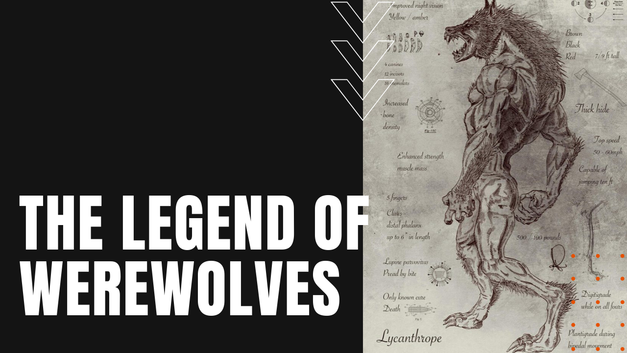 the legend of werewolves