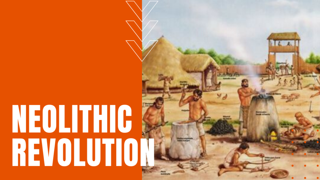 Which Of The Following Best Describes The Neolithic Revolution