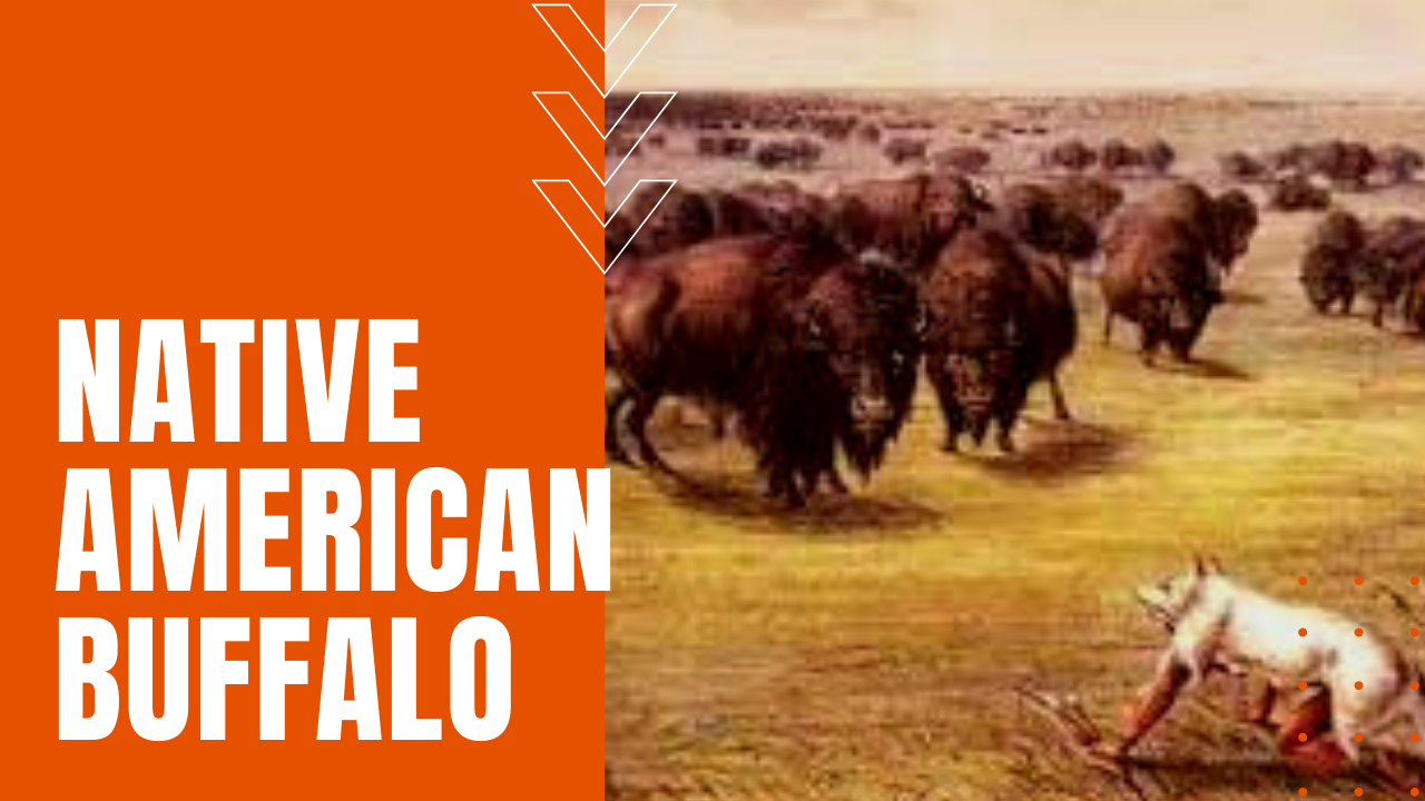 Native Americans dependent on the Buffalo before Americans Slaughtered them