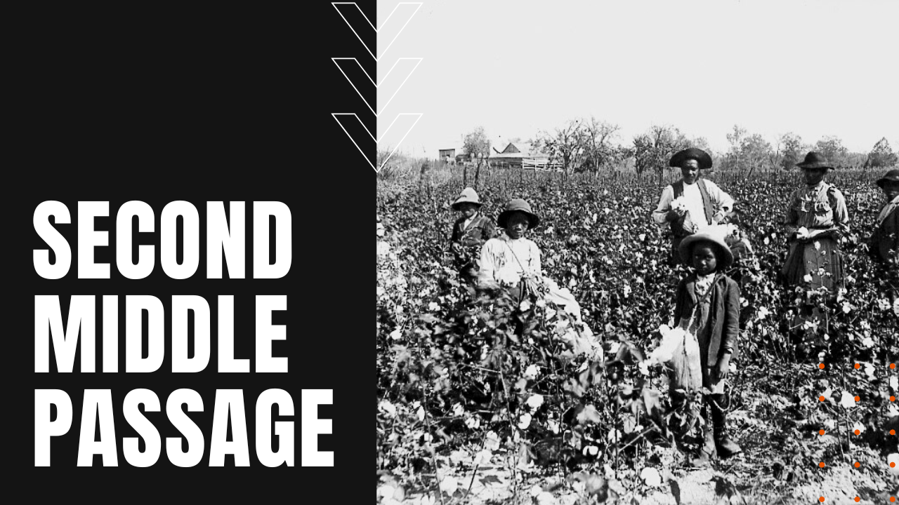 Slaves moving from tobacco to cotton in the second middle passage slave trade