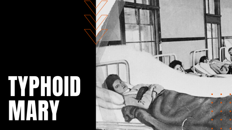 Typhoid Mary Daily Dose Documentary