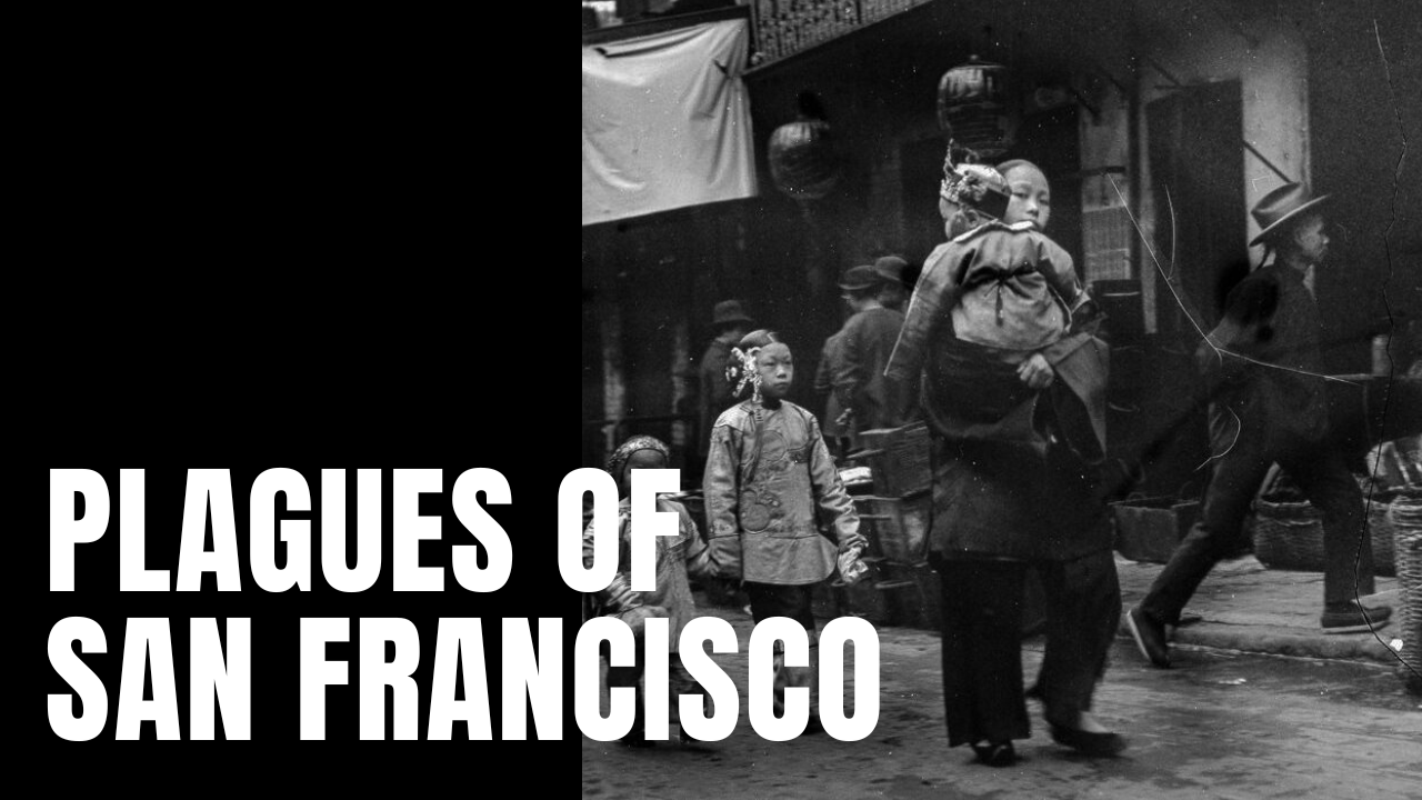 Plagues of San Francisco