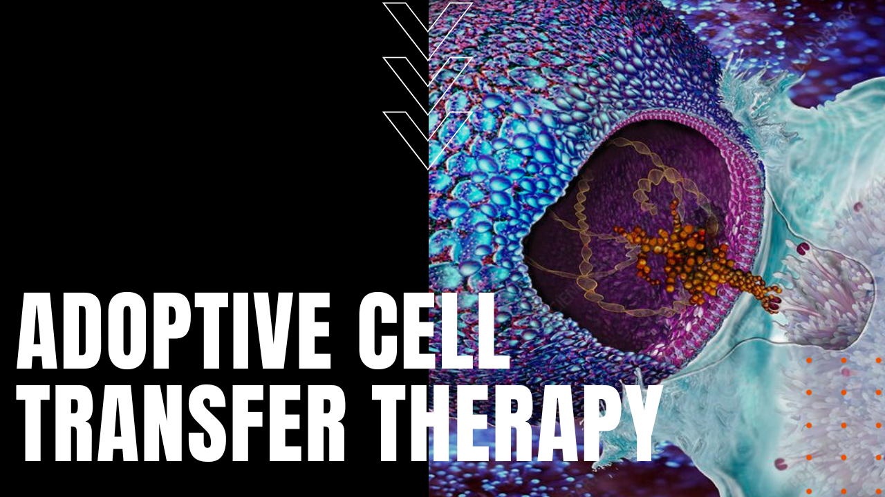 Adoptive Cell Transfer Therapy