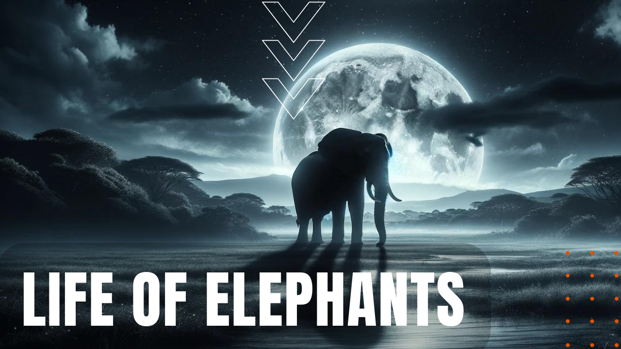 Life of Elephants