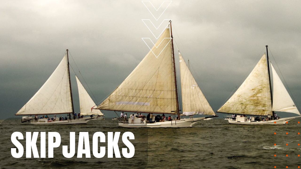 Skipjacks of the Chesapeake Bay